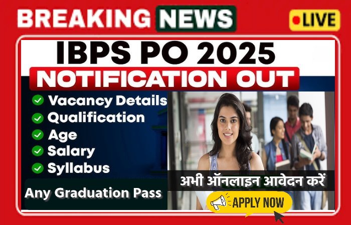 ibps  jobs